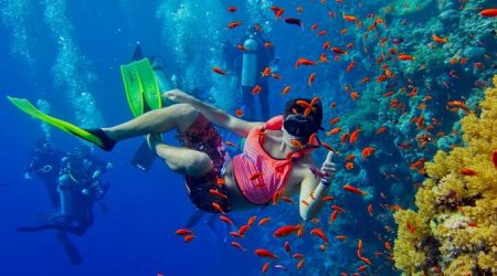 mnemba snorkeling tour